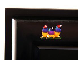 Viewsonic Vled221wm Monitor Viewsonic Vled221wm Voegel